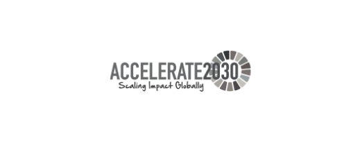 accelerate2030 İkonu
